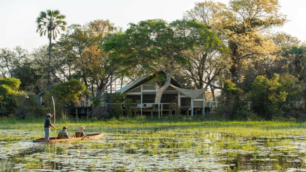 Abu Camp, Okavango Delta
