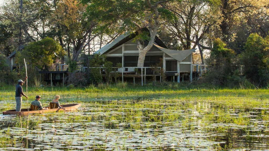 Abu Camp, Okavango Delta