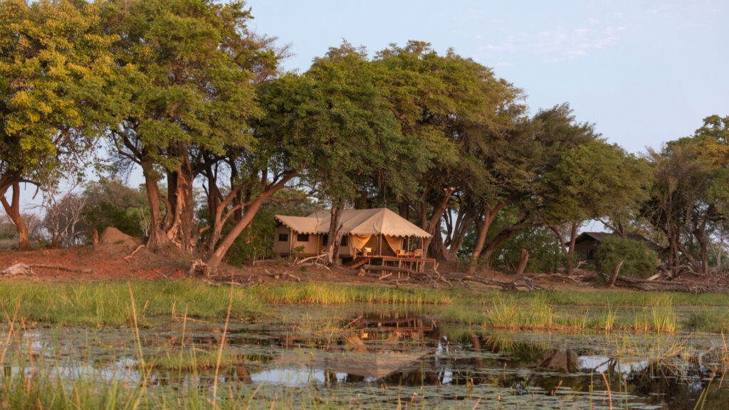 Duba Explorers Camp, Okavango Delta