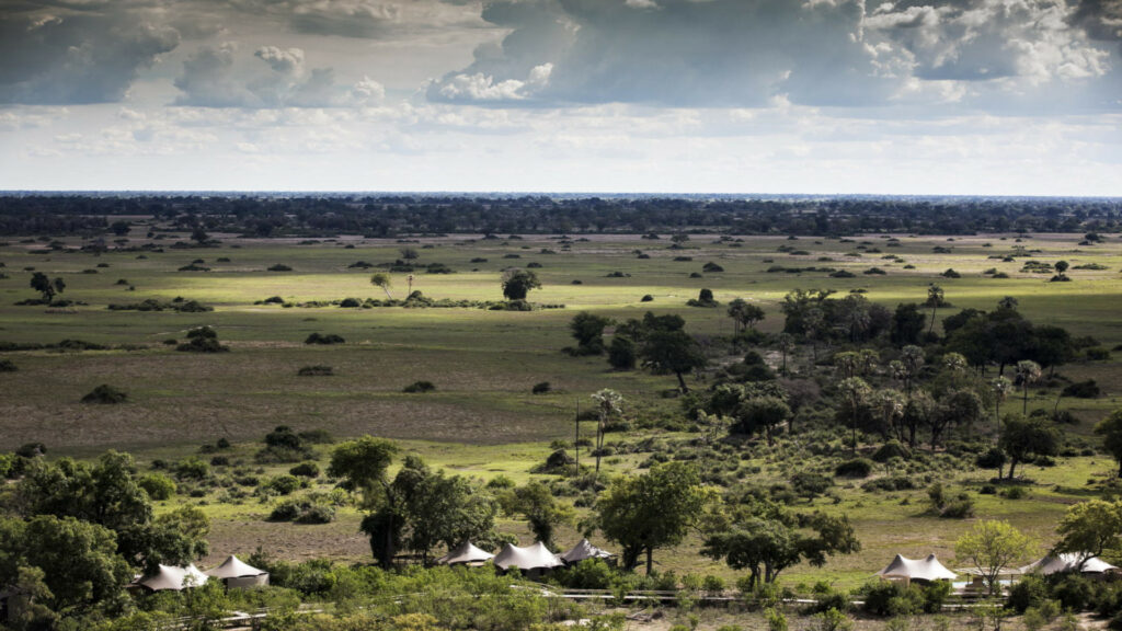 Mombo Camp, Okavango Delta