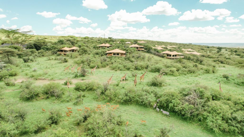 Mara Bushtops, Masai Mara