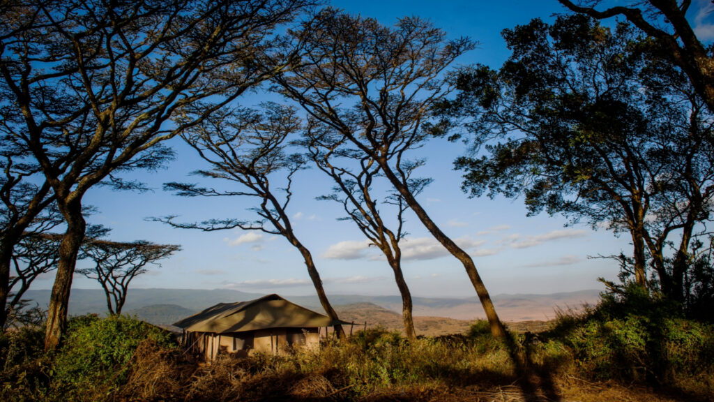 Nomad Entamanu, Ngorongoro Krater