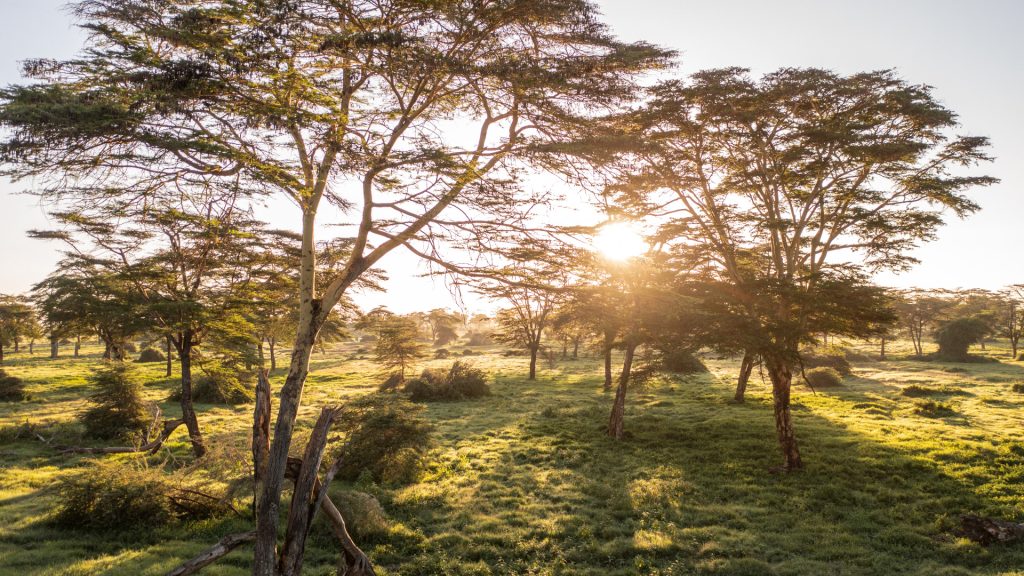 Angama Amboseli, Amboseli Nationalpark