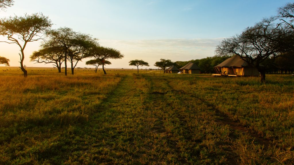 Cherero Camp, Serengeti